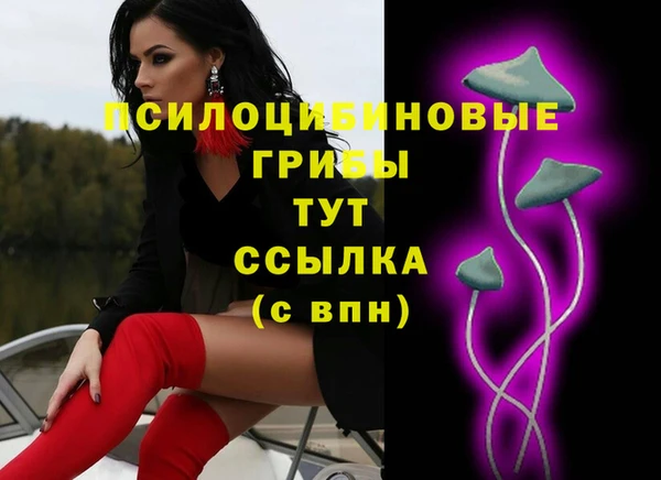 круглые Алексин
