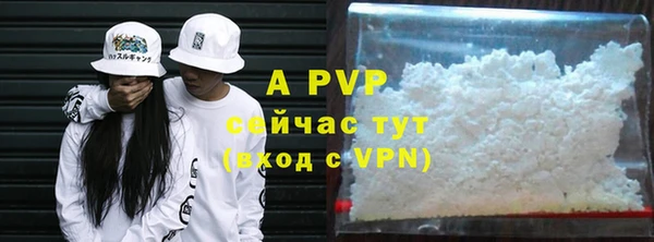 шишки Абинск