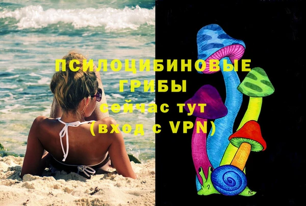 прущий лед Абаза