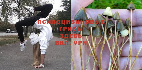 круглые Алексин