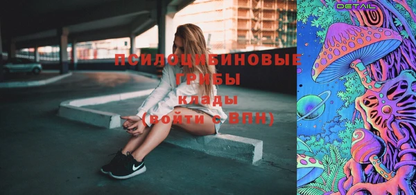 прущий лед Абаза