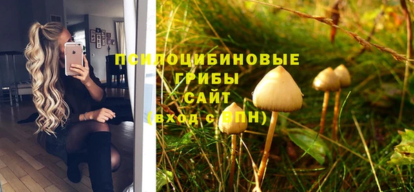 марки nbome Нязепетровск